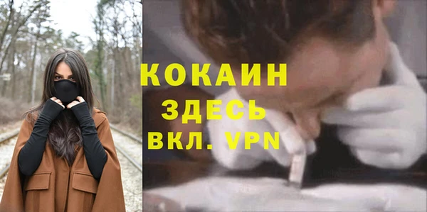 мяу мяу кристалл Алексин