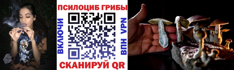 магазин продажи наркотиков  Новая Ляля  kraken вход  Галлюциногенные грибы MAGIC MUSHROOMS 